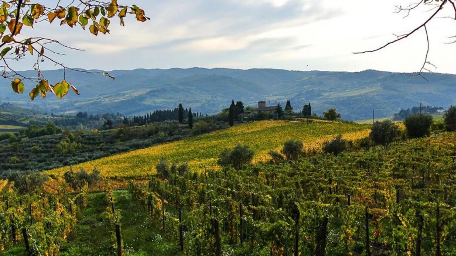 Apartment Laura By Interhome Lucolena in Chianti